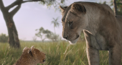 Mufasa-animationscreencaps.com-2302