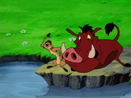 TBT Timon & Pumbaa2