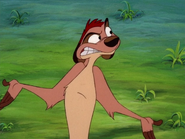 WA Timon6