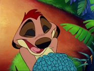 YYY Timon2