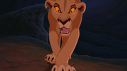 Lion-king2-disneyscreencaps.com-2688