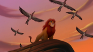 Lion-king2-disneyscreencaps.com-6959