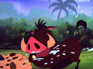 MAY Pumbaa9