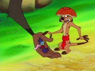 KP Timon & grubs3