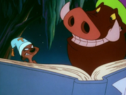 WAIW Timon & Pumbaa16