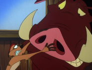 FA Timon & Pumbaa25