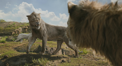 Mufasa-animationscreencaps.com-12134
