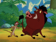 TTAKAH Timon & Pumbaa5