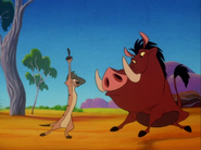 BOITO Timon & Pumbaa5