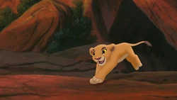 Lion-king2-disneyscreencaps.com-405