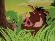 NE Timon & Pumbaa30