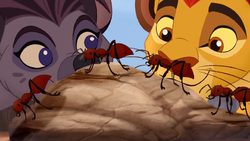 Kion and Jasiri bond over their mutual respect for the Circle of Life.