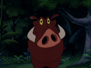 TLST Pumbaa12