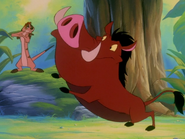 TZ Timon & Pumbaa9