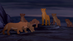 Lion-king-disneyscreencaps