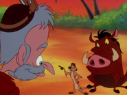 MM Timon Pumbaa & castaway4