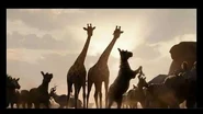 An official TV spot for The Lion King