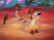 LB Timon4