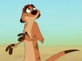 Timon