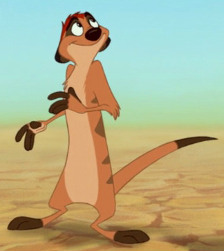 lion king characters timon