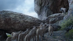 Scar delivers a eulogy for Mufasa and Simba to his pride.