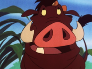 MAY Pumbaa4