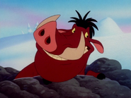 YC Pumbaa3