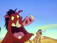 LIDN Timon & Pumbaa62