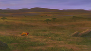 Lion-king2-disneyscreencaps.com-6497