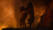 Lionking2019-animationscreencaps.com-12273