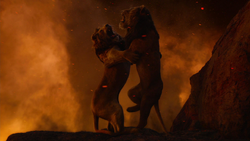 Lionking2019-animationscreencaps