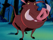 SC Pumbaa20