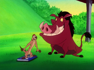 MT Timon Pumbaa & grubs5