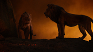 Lionking2019-animationscreencaps.com-12193