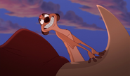 Lionking3-disneyscreencaps.com-2489