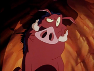 ATWWT&P Pumbaa2