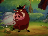 NE Pumbaa & Jr