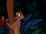 TLST Timon8