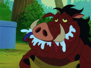 TTAKAH Pumbaa & grubs