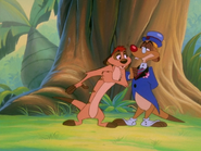 TZ Timon & Fred