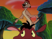 DBTC Timon & Pumbaa12