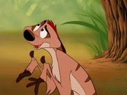 SSS Timon12