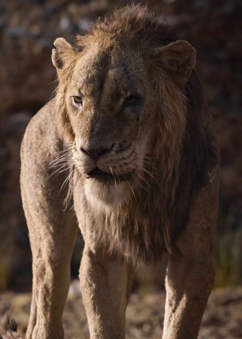 Scar 19 Film The Lion King Wiki Fandom