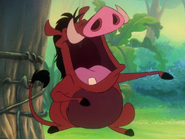 TZ Pumbaa12