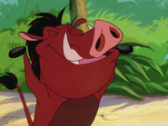 UBAE Pumbaa9