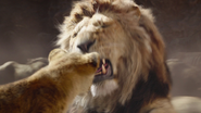 Lionking2019-animationscreencaps.com-4924