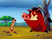 RFD Timon & Pumbaa42