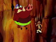 SW Timon & Pumbaa37