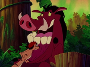 EFN Timon & Pumbaa3