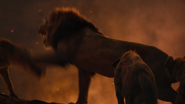 Lionking2019-animationscreencaps.com-11638